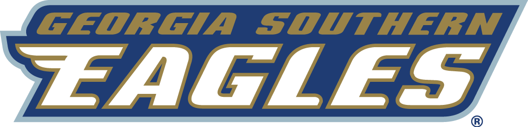 Georgia Southern Eagles 2004-Pres Wordmark Logo v2 diy DTF decal sticker